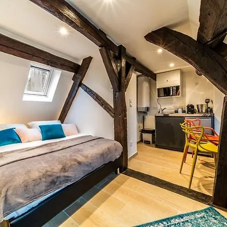 Studio & Le Danton - Hypercentre