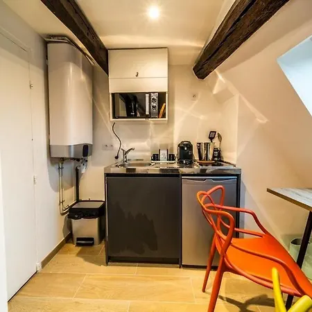 Studio & Le Danton - Hypercentre ディジョン