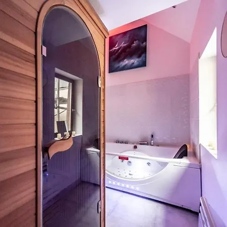 Studio & Le Danton - Hypercentre ディジョン