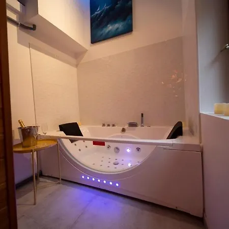 Studio & Le Danton - Hypercentre Hotel Dijon