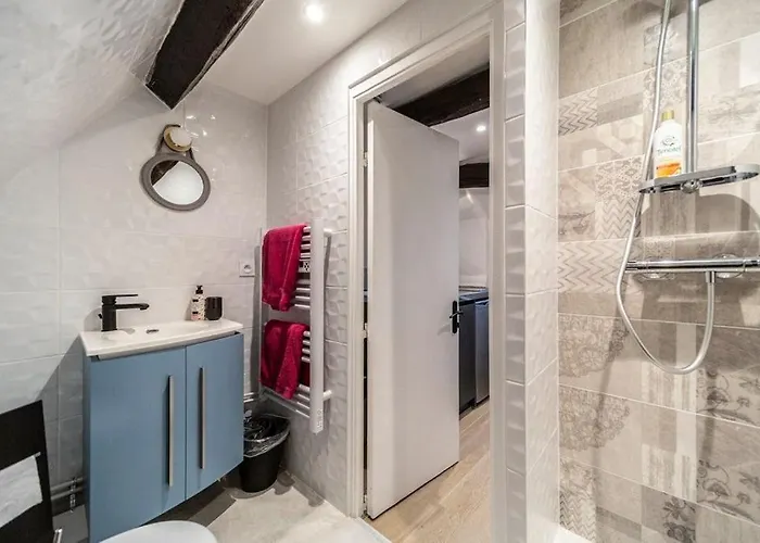 Studio & Le Danton - Hypercentre Hotel