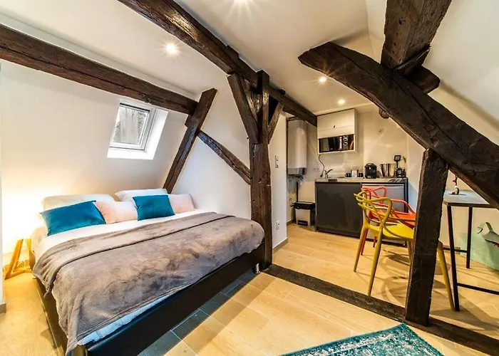 Studio & Le Danton - Hypercentre