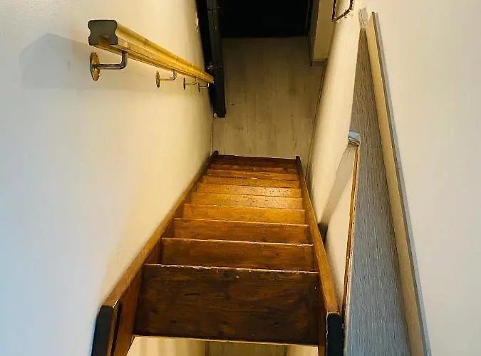 Studio & Le Danton - Hypercentre ホテル *