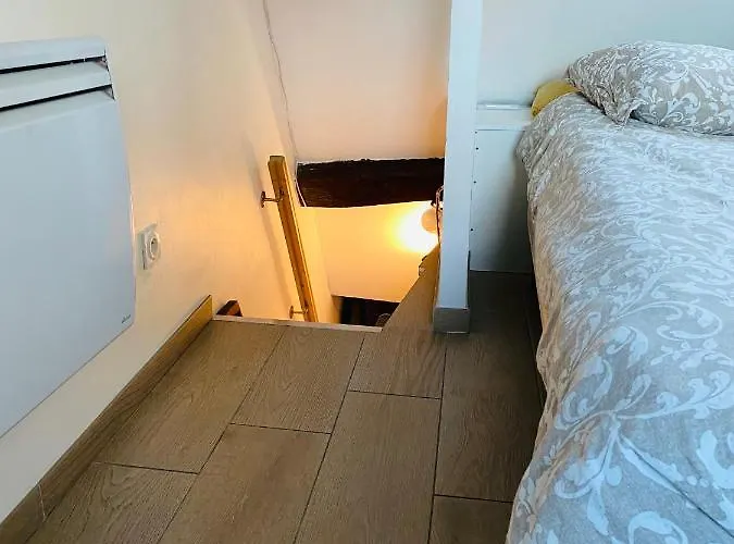 Studio & Le Danton - Hypercentre